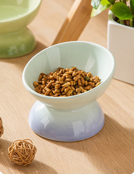 Elevate Mealtimes with Rainbow Ceramic Pet Bowl